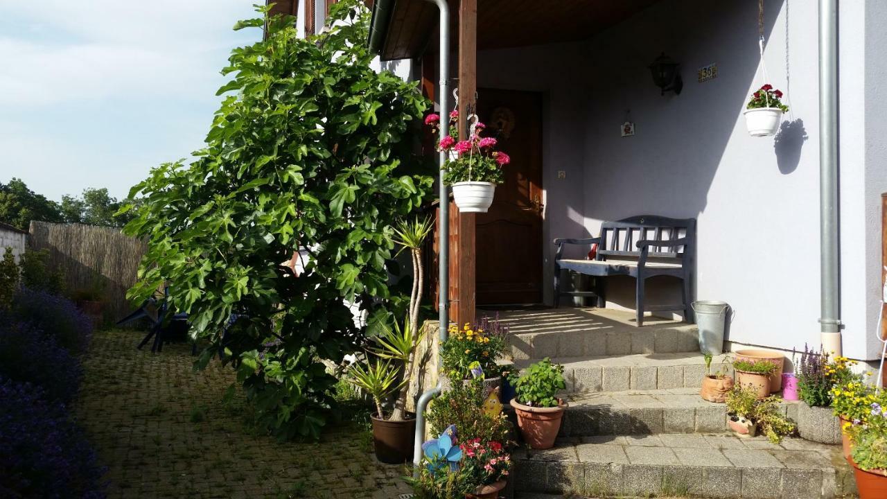 Urlaub Im Elsass Apartment Artolsheim Exterior photo