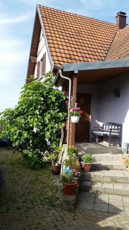 Urlaub Im Elsass Apartment Artolsheim Exterior photo